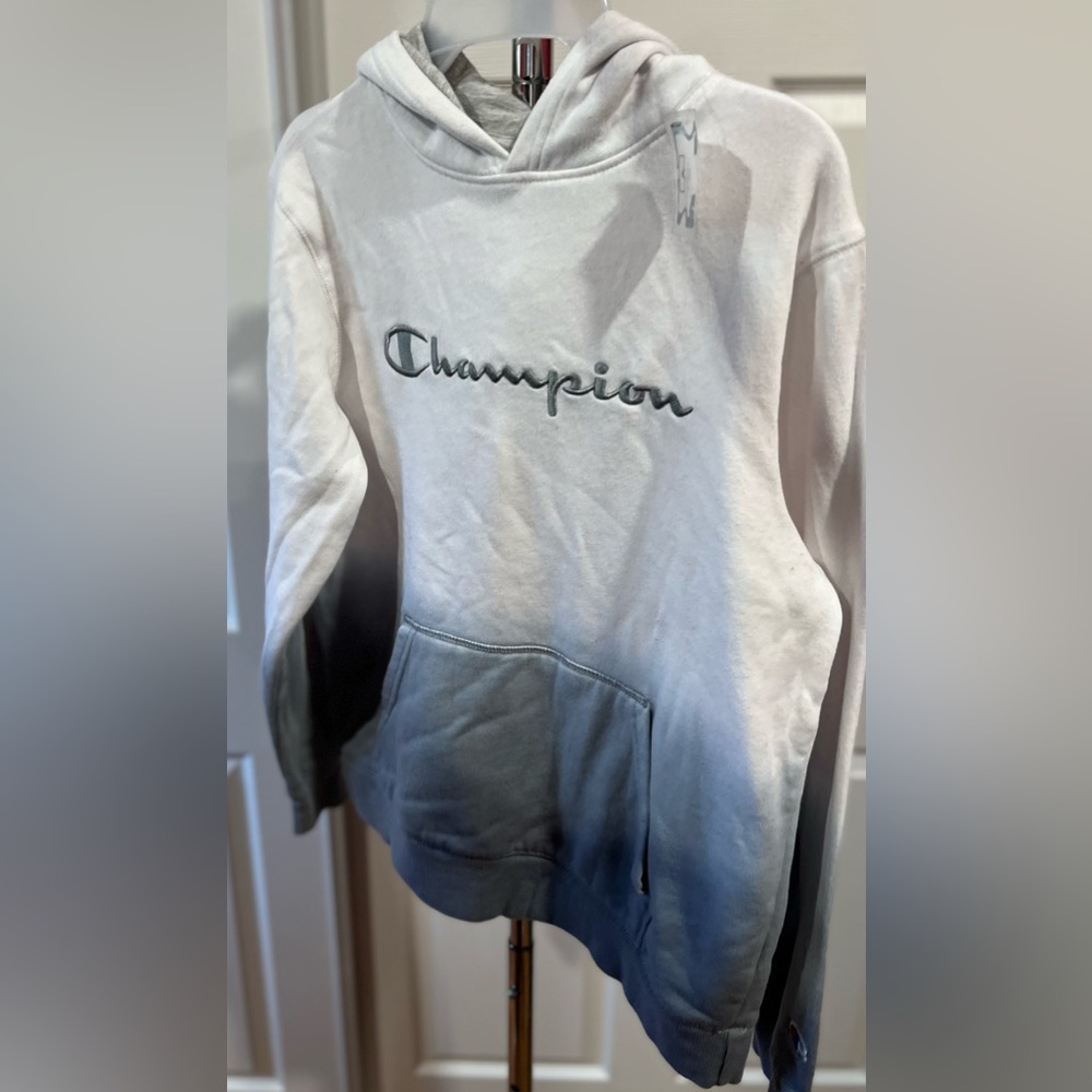 Hoodie champion